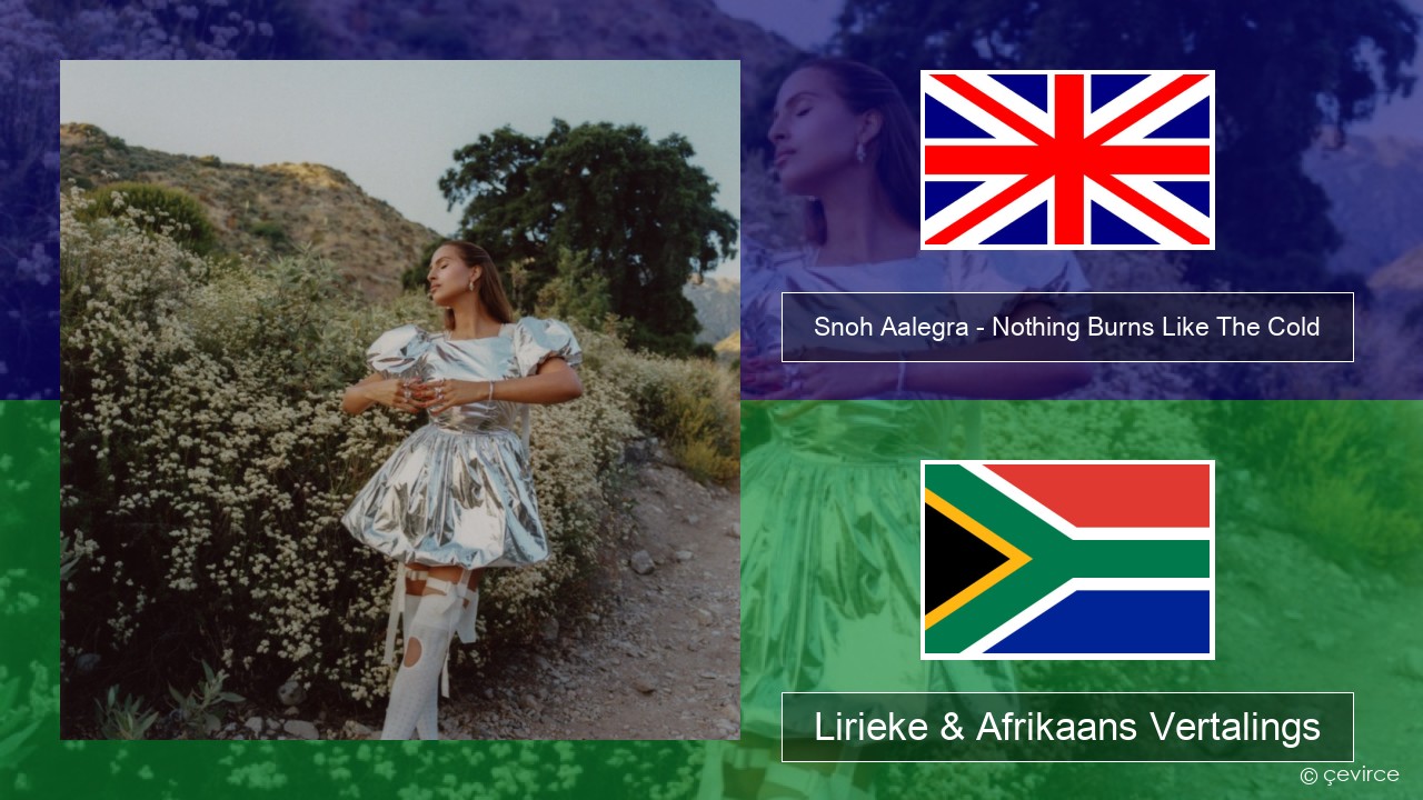 Snoh Aalegra – Nothing Burns Like The Cold (feat. Vince Staples) Engels Lirieke & Afrikaans Vertalings