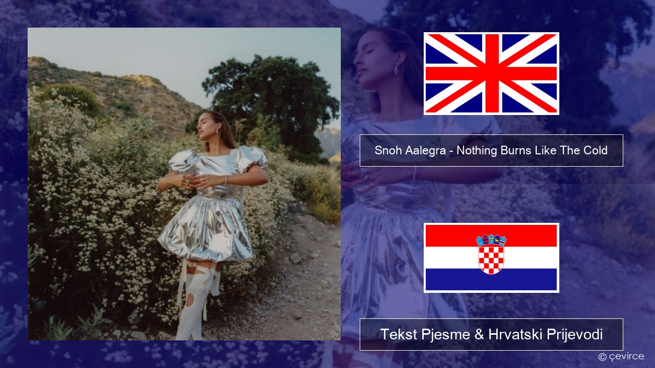 Snoh Aalegra – Nothing Burns Like The Cold (feat. Vince Staples) Engleski Tekst Pjesme & Hrvatski Prijevodi
