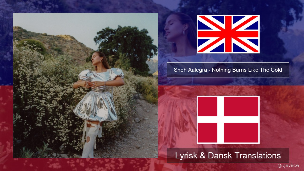 Snoh Aalegra – Nothing Burns Like The Cold (feat. Vince Staples) Engelsk Lyrisk & Dansk Translations