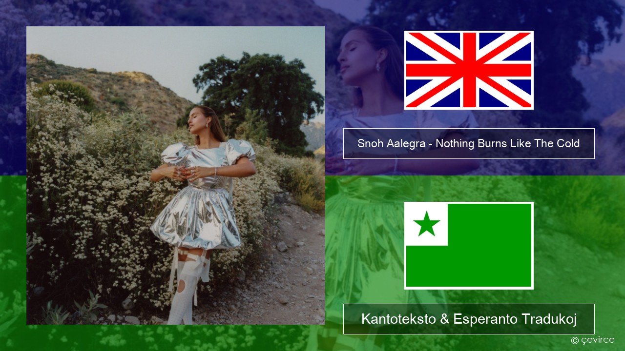 Snoh Aalegra – Nothing Burns Like The Cold (feat. Vince Staples) La angla Kantoteksto & Esperanto Tradukoj