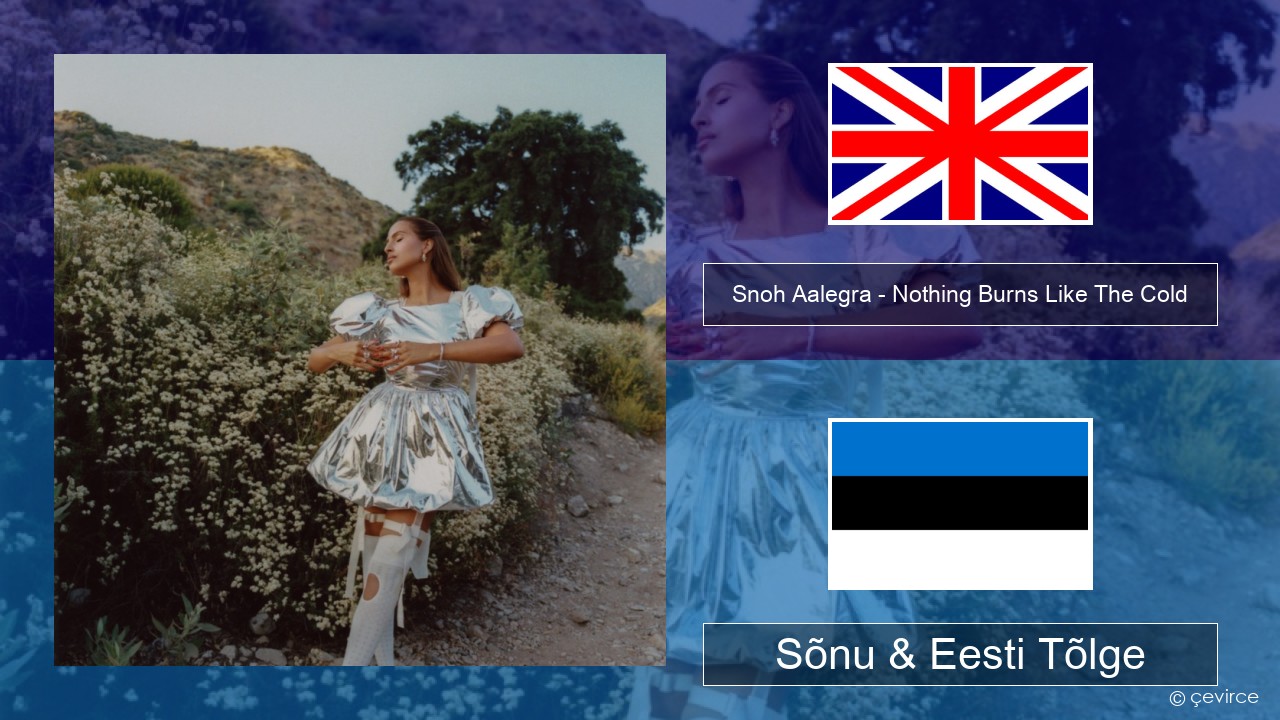 Snoh Aalegra – Nothing Burns Like The Cold (feat. Vince Staples) Inglise Sõnu & Eesti Tõlge