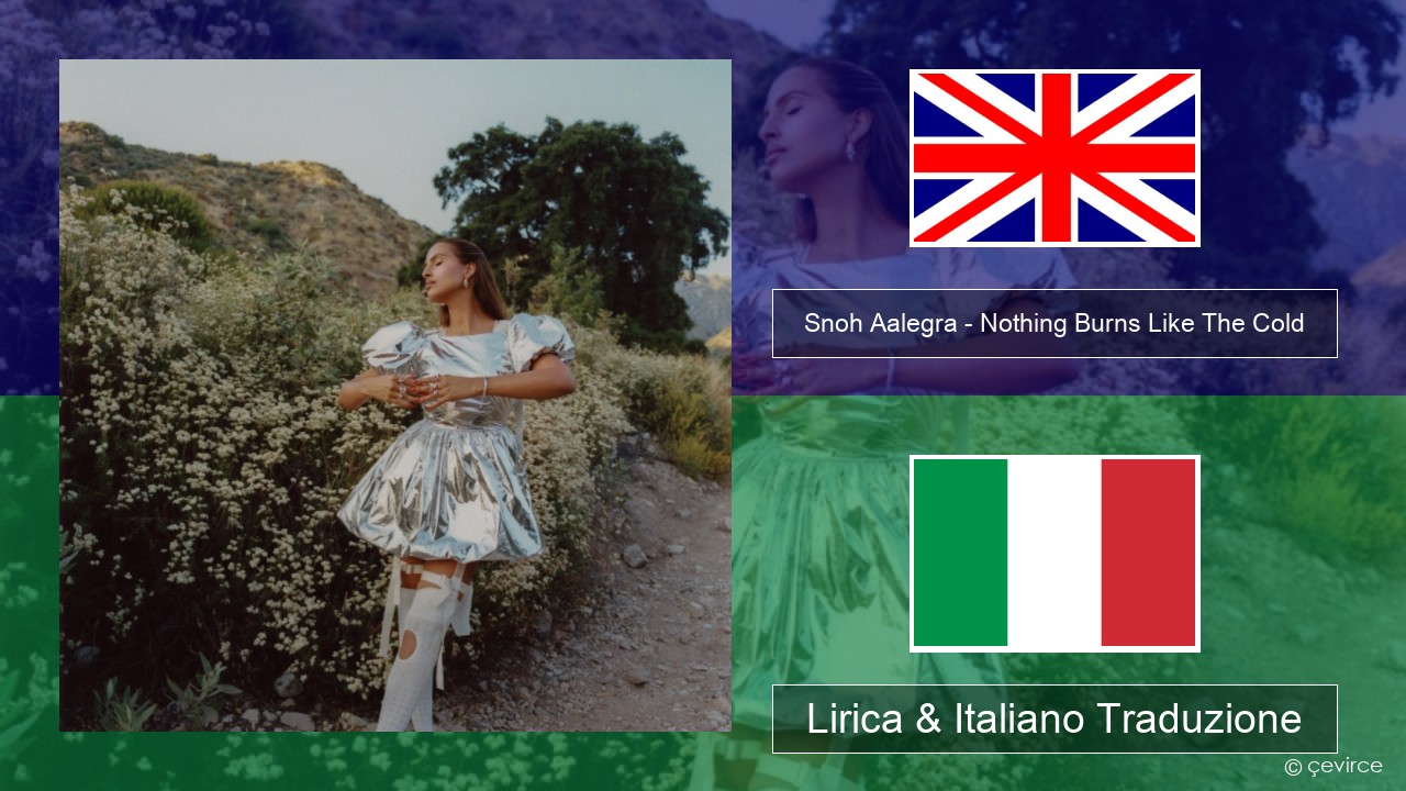 Snoh Aalegra – Nothing Burns Like The Cold (feat. Vince Staples) Inglese Lirica & Italiano Traduzione
