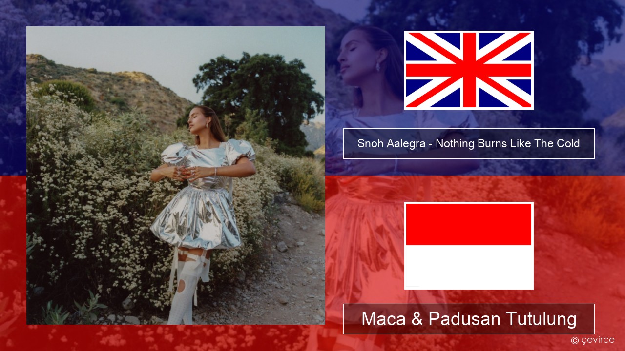 Snoh Aalegra – Nothing Burns Like The Cold (feat. Vince Staples) Sing Maca & Padusan Tutulung
