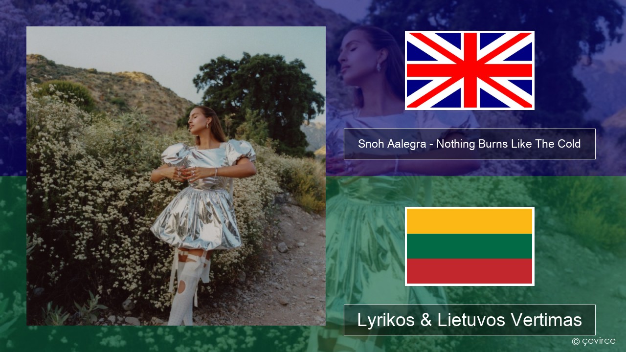 Snoh Aalegra – Nothing Burns Like The Cold (feat. Vince Staples) Anglų Lyrikos & Lietuvos Vertimas