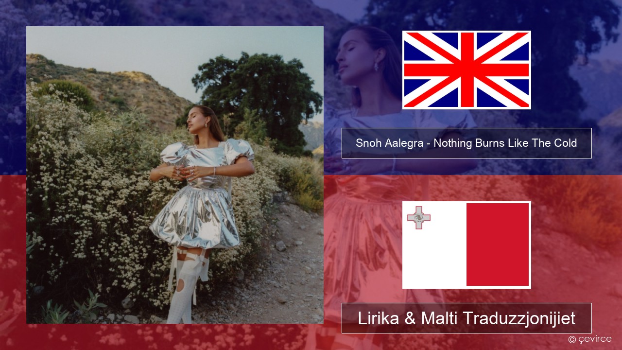 Snoh Aalegra – Nothing Burns Like The Cold (feat. Vince Staples) Ingliż Lirika & Malti Traduzzjonijiet
