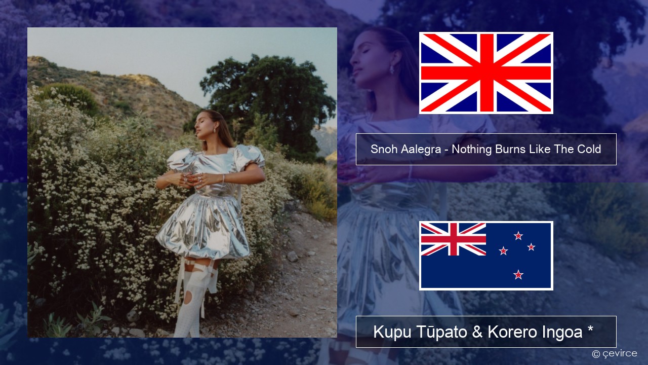 Snoh Aalegra – Nothing Burns Like The Cold (feat. Vince Staples) Ingoa *  Kupu Tūpato & Korero Ingoa *