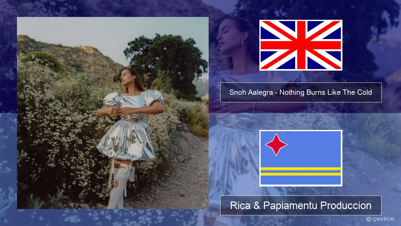 Snoh Aalegra – Nothing Burns Like The Cold (feat. Vince Staples) Ing Rica & Papiamentu Produccion
