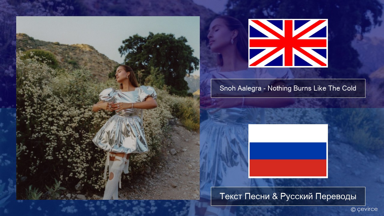 Snoh Aalegra – Nothing Burns Like The Cold (feat. Vince Staples) Английский Текст Песни & Русский Переводы