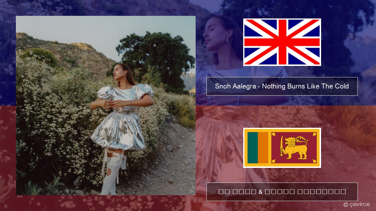 Snoh Aalegra – Nothing Burns Like The Cold (feat. Vince Staples) ඉංග්රීසි පද රචනය & සිංහල පරිවර්තන
