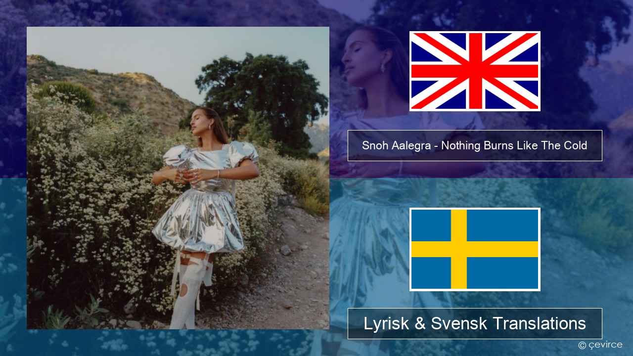 Snoh Aalegra – Nothing Burns Like The Cold (feat. Vince Staples) Engelsk Lyrisk & Svensk Translations