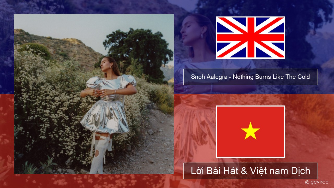 Snoh Aalegra – Nothing Burns Like The Cold (feat. Vince Staples) Tiếng anh Lời Bài Hát & Việt nam Dịch