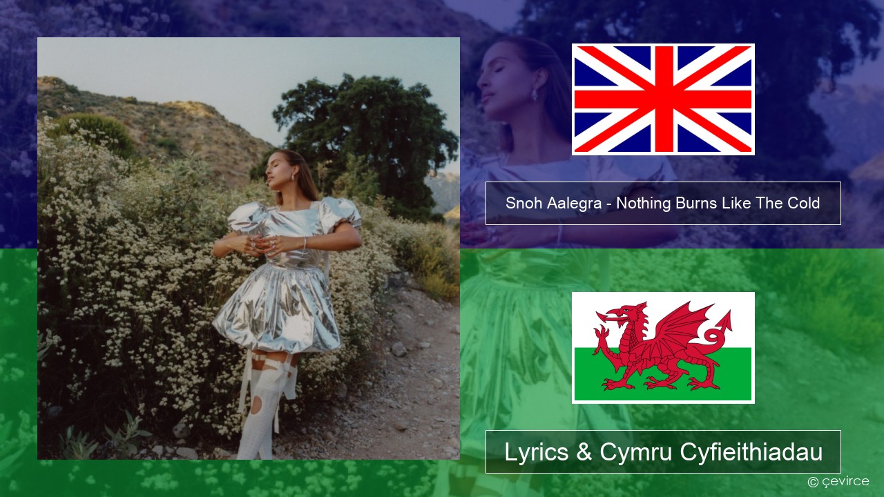 Snoh Aalegra – Nothing Burns Like The Cold (feat. Vince Staples) Saesneg Lyrics & Cymru Cyfieithiadau