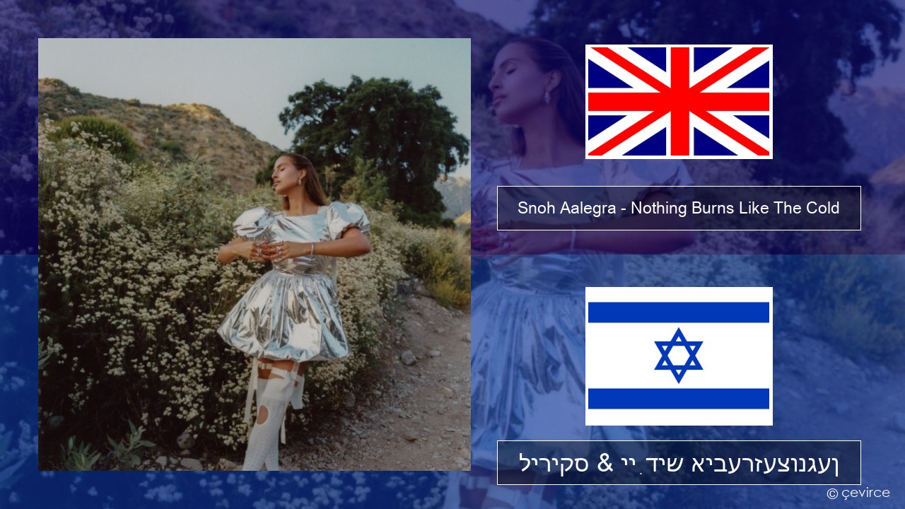 Snoh Aalegra – Nothing Burns Like The Cold (feat. Vince Staples) ענגליש ליריקס & ייִדיש איבערזעצונגען