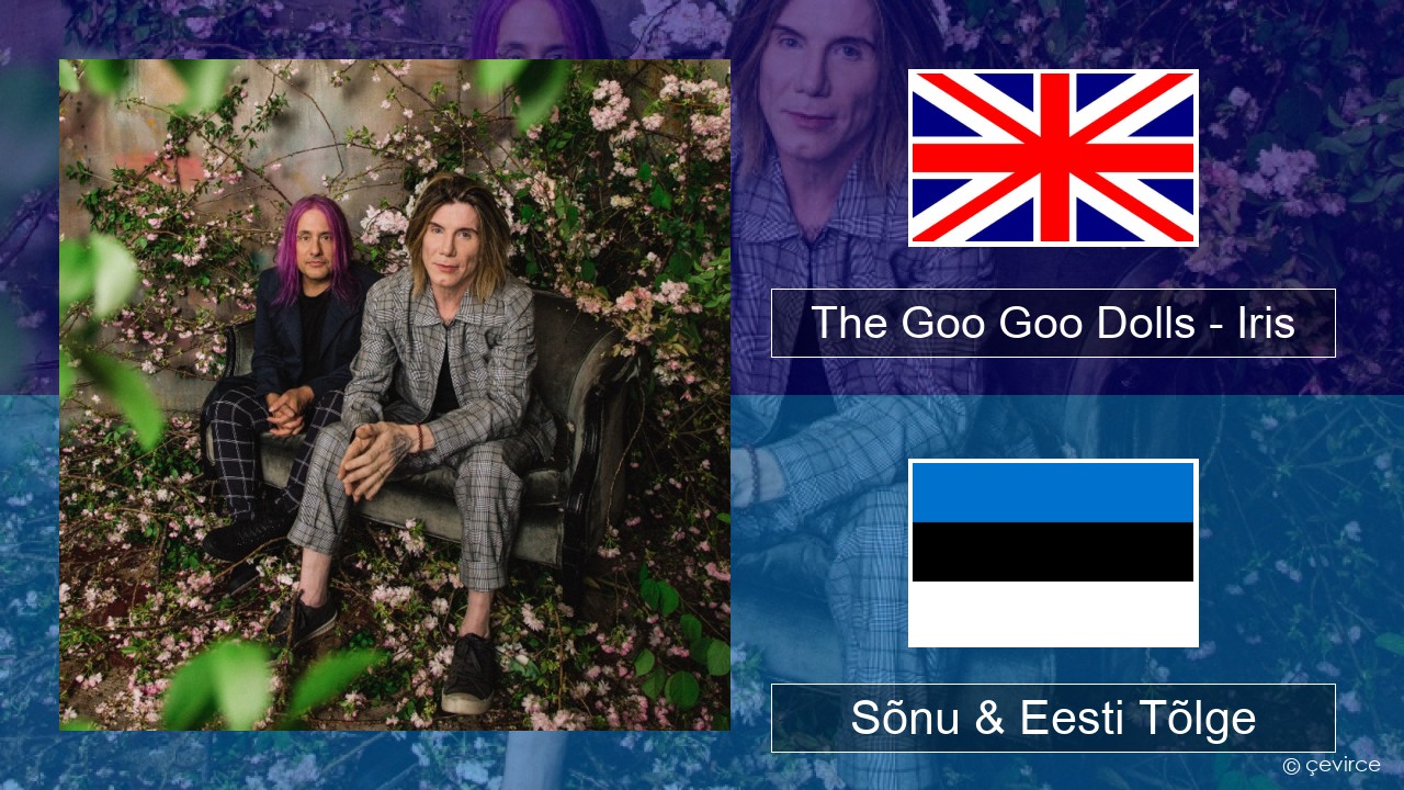 The Goo Goo Dolls – Iris Inglise Sõnu & Eesti Tõlge