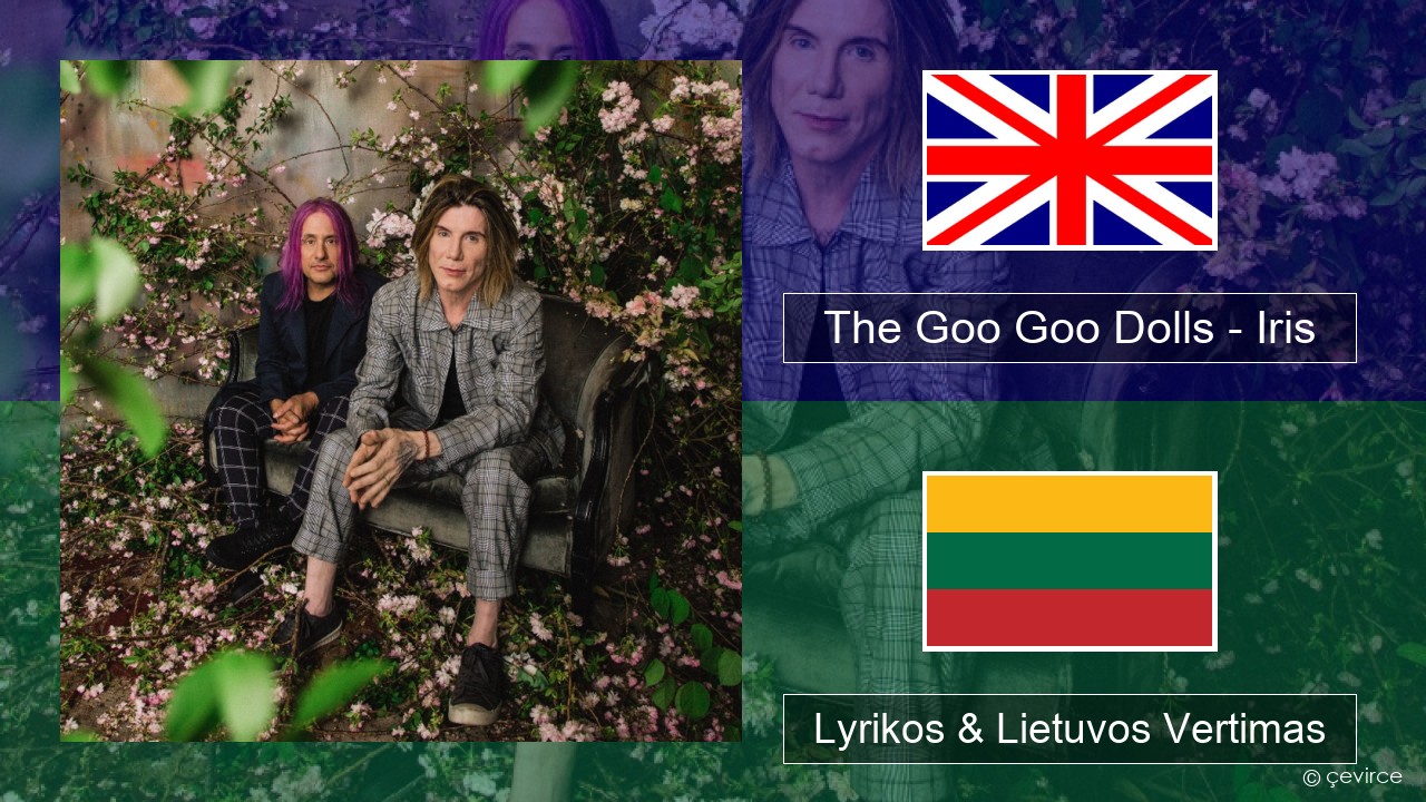 The Goo Goo Dolls – Iris Anglų Lyrikos & Lietuvos Vertimas