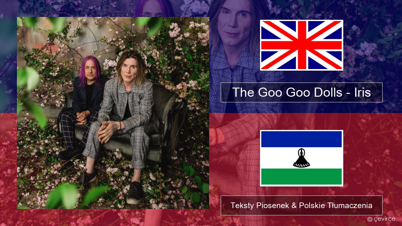 The Goo Goo Dolls – Iris Polski Teksty Piosenek & Polskie Tłumaczenia