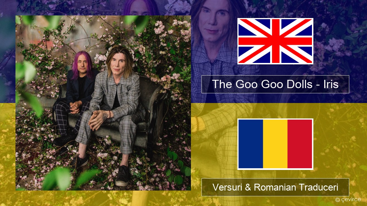 The Goo Goo Dolls – Iris Română Versuri & Romanian Traduceri