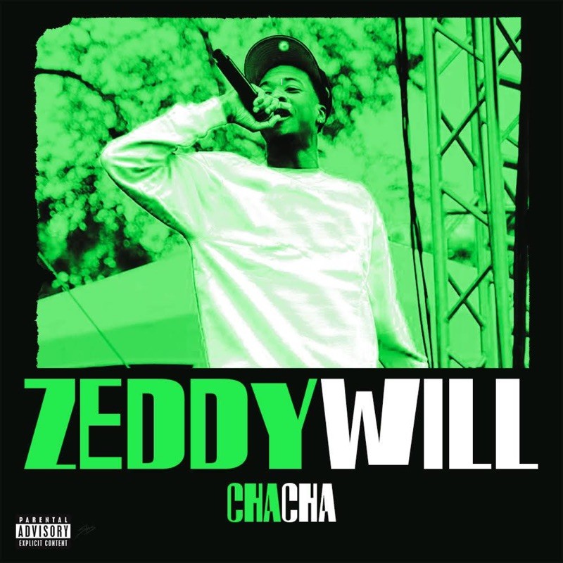 Zeddy Will
