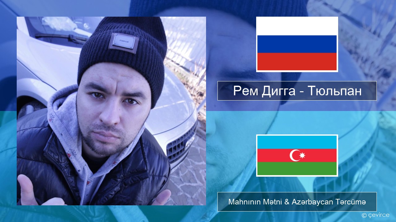 Рем Дигга – Тюльпан Azerbaycan Mahnının Mətni & Azərbaycan Tərcümə