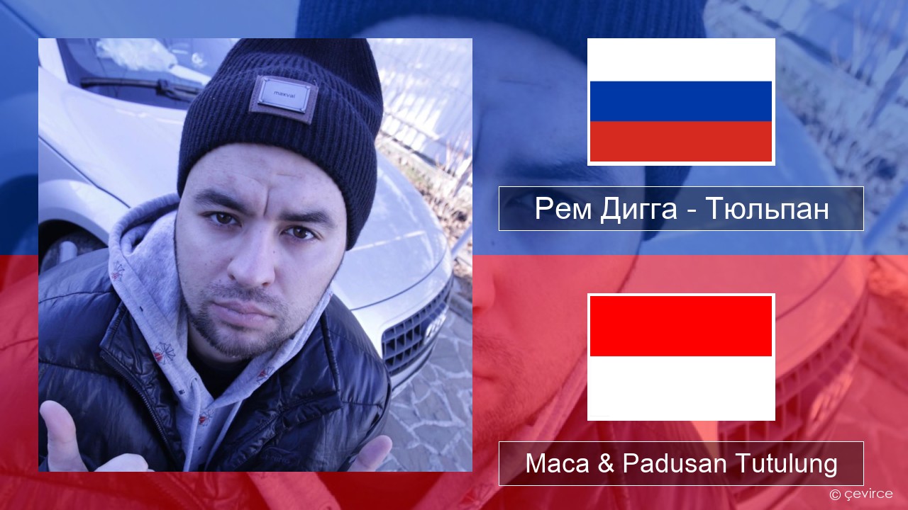 Рем Дигга – Тюльпан Rusia Maca & Padusan Tutulung