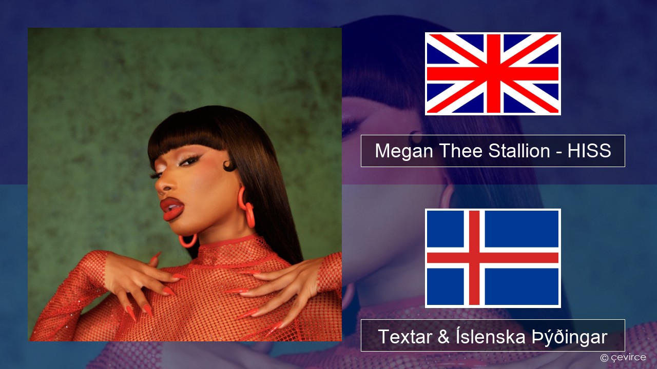 Megan Thee Stallion – HISS Íslenska Textar & Íslenska Þýðingar