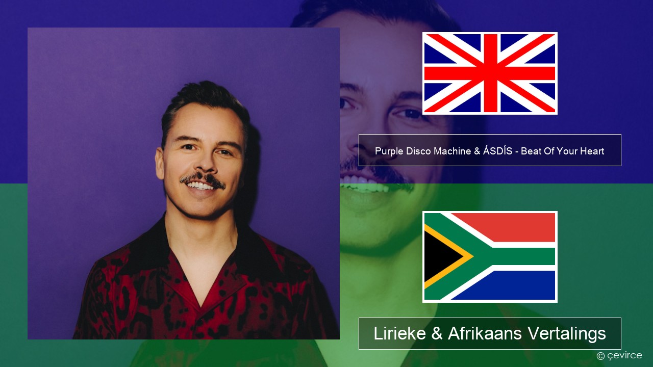 Purple Disco Machine & ÁSDÍS – Beat Of Your Heart Engels Lirieke & Afrikaans Vertalings