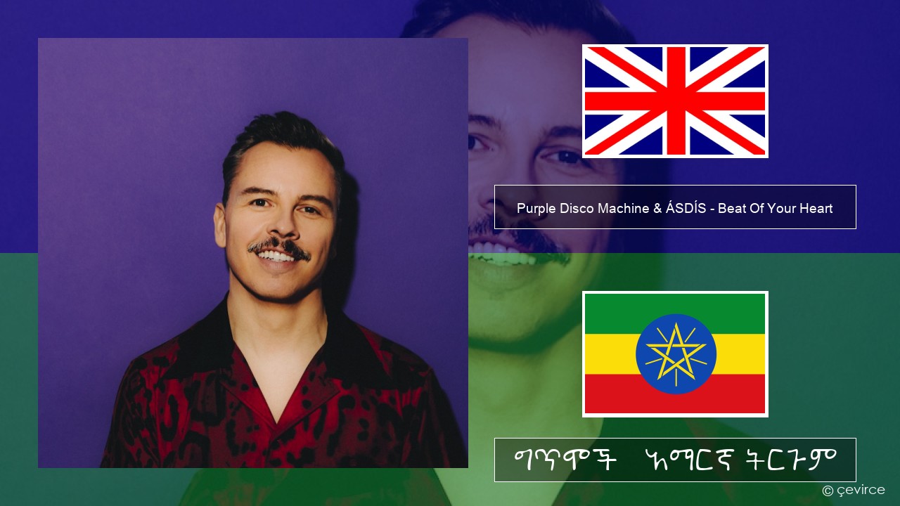 Purple Disco Machine & ÁSDÍS – Beat Of Your Heart አማርኛ ግጥሞች & አማርኛ ትርጉም
