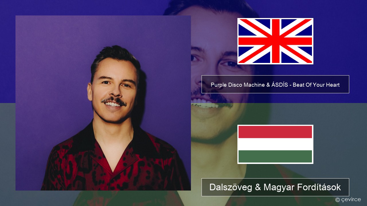 Purple Disco Machine & ÁSDÍS – Beat Of Your Heart Magyar Dalszöveg & Magyar Fordítások