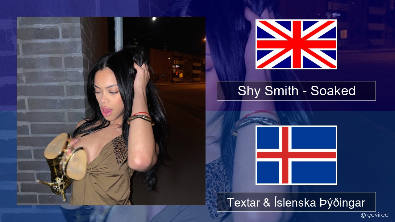 Shy Smith – Soaked Íslenska Textar & Íslenska Þýðingar