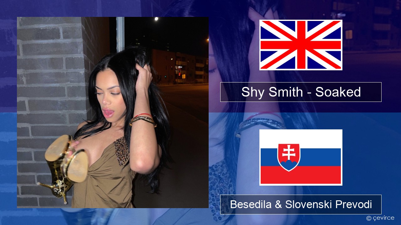 Shy Smith – Soaked Slovenščina Besedila & Slovenski Prevodi