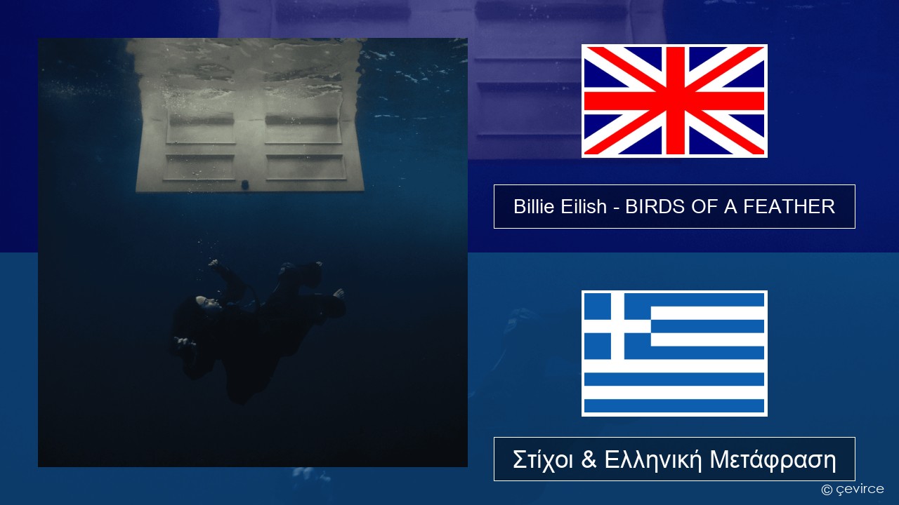 Billie Eilish – BIRDS OF A FEATHER Αγγλική Στίχοι & Ελληνική Μετάφραση