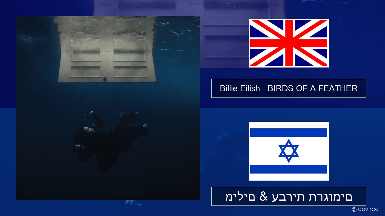 Billie Eilish – BIRDS OF A FEATHER אנגלית מילים & עברית תרגומים