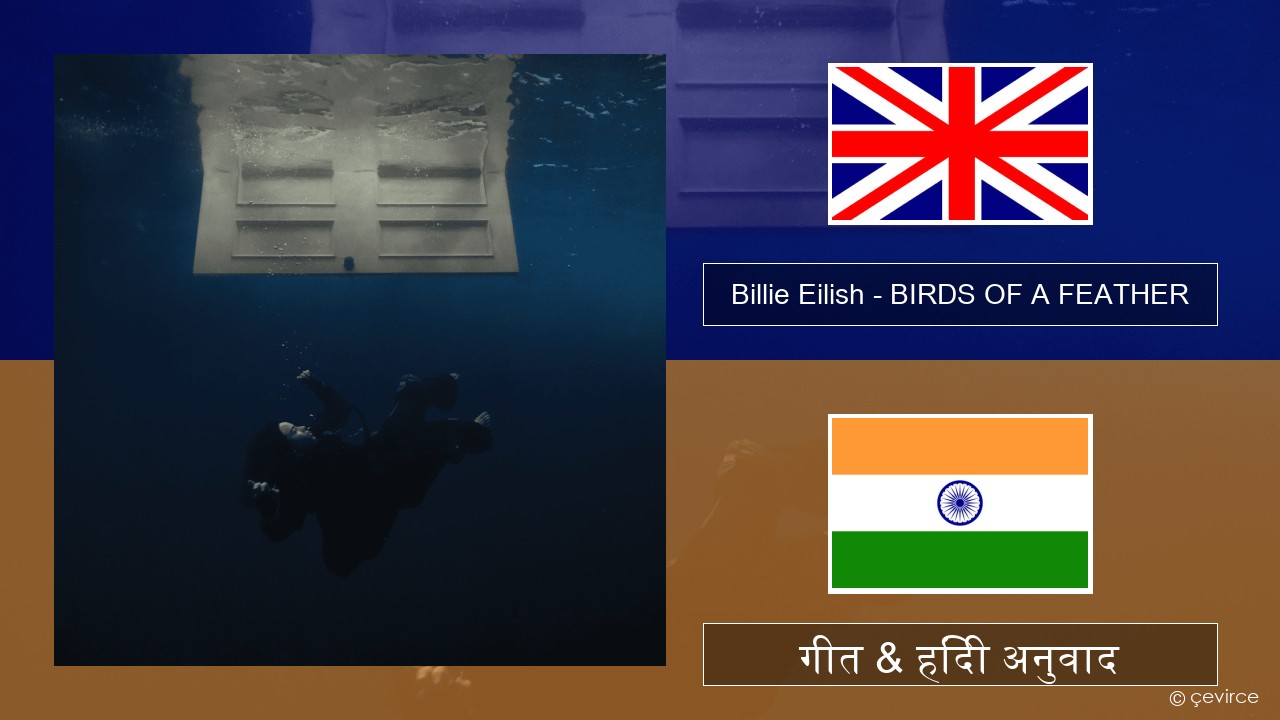 Billie Eilish – BIRDS OF A FEATHER अंग्रेजी गीत & हिंदी अनुवाद