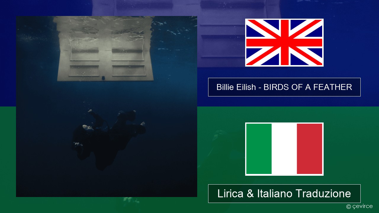Billie Eilish – BIRDS OF A FEATHER Inglese Lirica & Italiano Traduzione