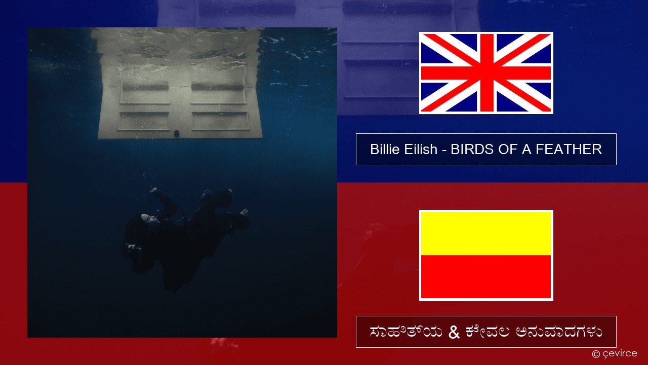 Billie Eilish – BIRDS OF A FEATHER ಇಂಗ್ಲೀಷ್ ಸಾಹಿತ್ಯ & ಕೇವಲ ಅನುವಾದಗಳು