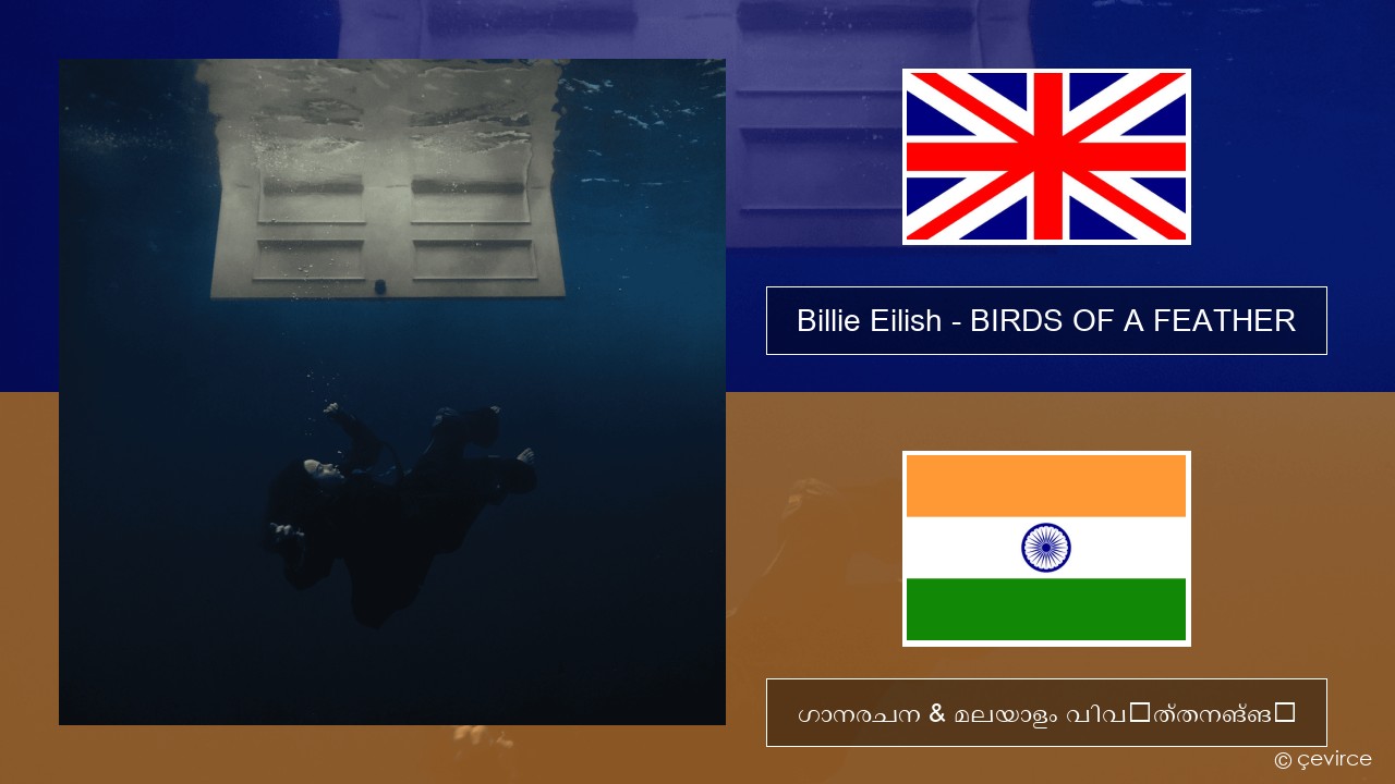Billie Eilish – BIRDS OF A FEATHER ഇംഗ്ലീഷ് ഗാനരചന & മലയാളം വിവർത്തനങ്ങൾ