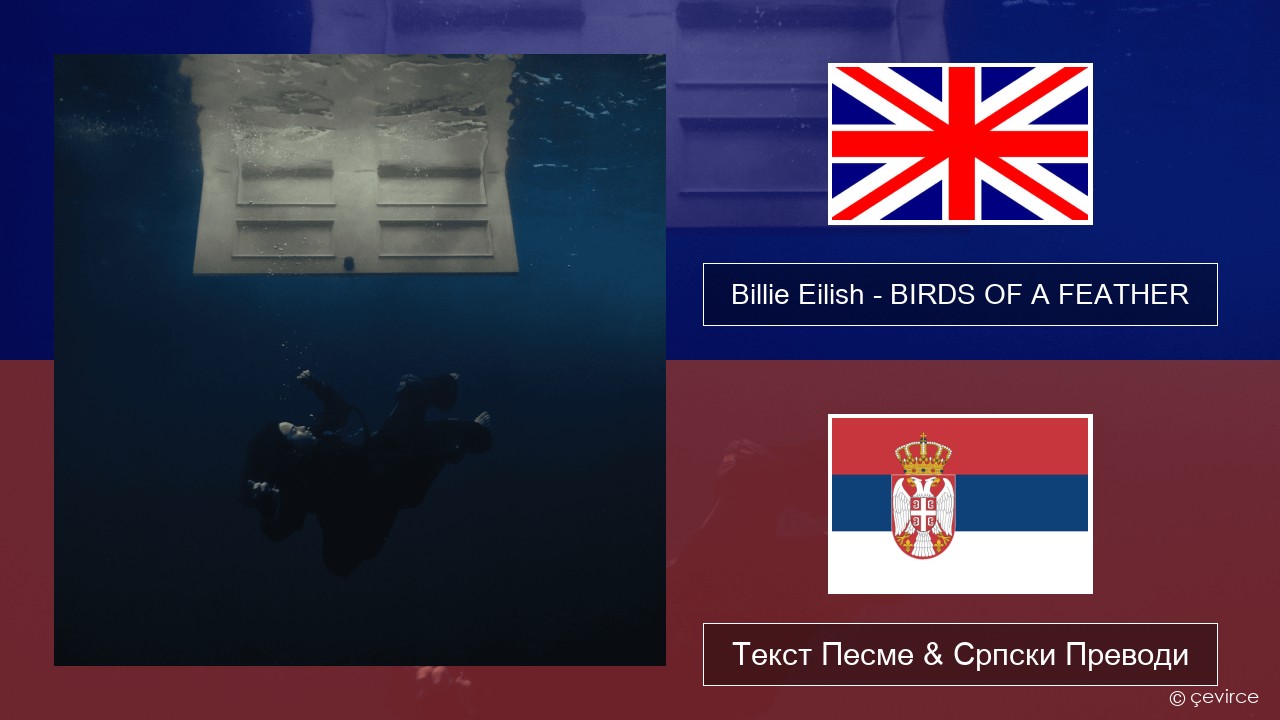 Billie Eilish – BIRDS OF A FEATHER Енглески Текст Песме & Српски Преводи