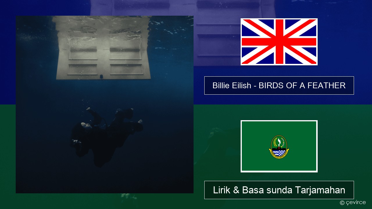 Billie Eilish – BIRDS OF A FEATHER Basa inggris Lirik & Basa sunda Tarjamahan