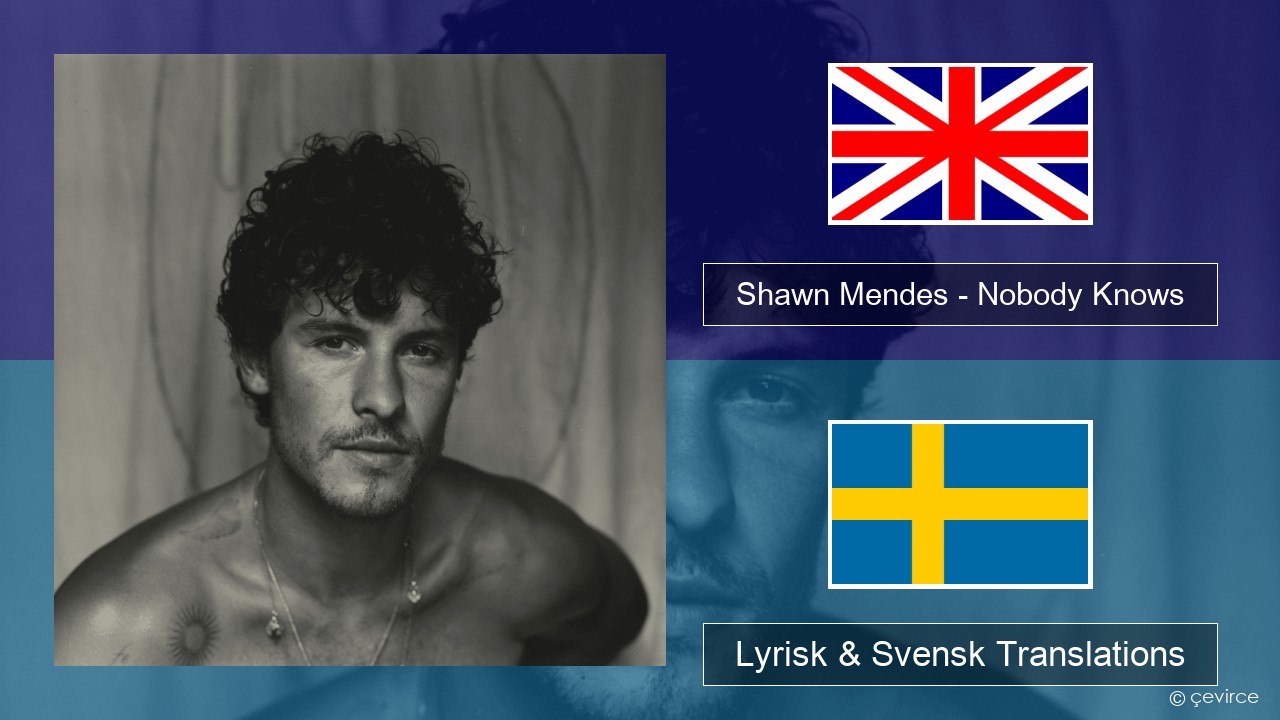 Shawn Mendes – Nobody Knows Engelsk Lyrisk & Svensk Translations