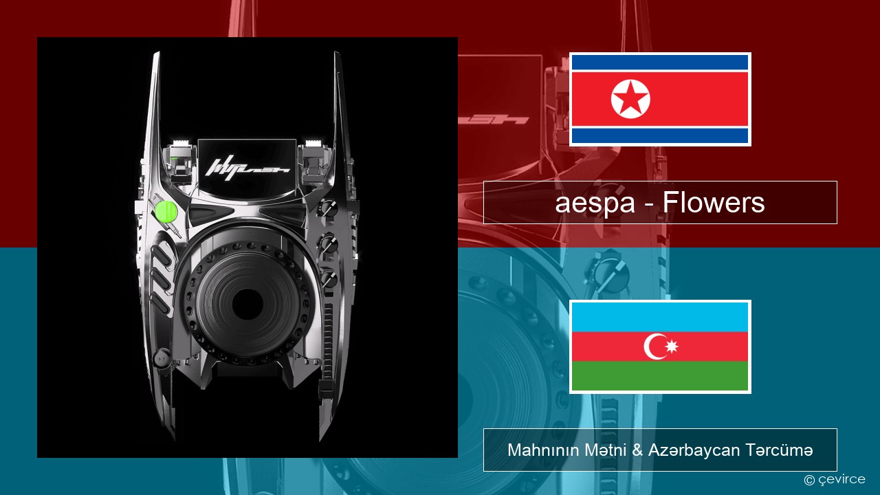 aespa – Flowers Koreya Mahnının Mətni & Azərbaycan Tərcümə
