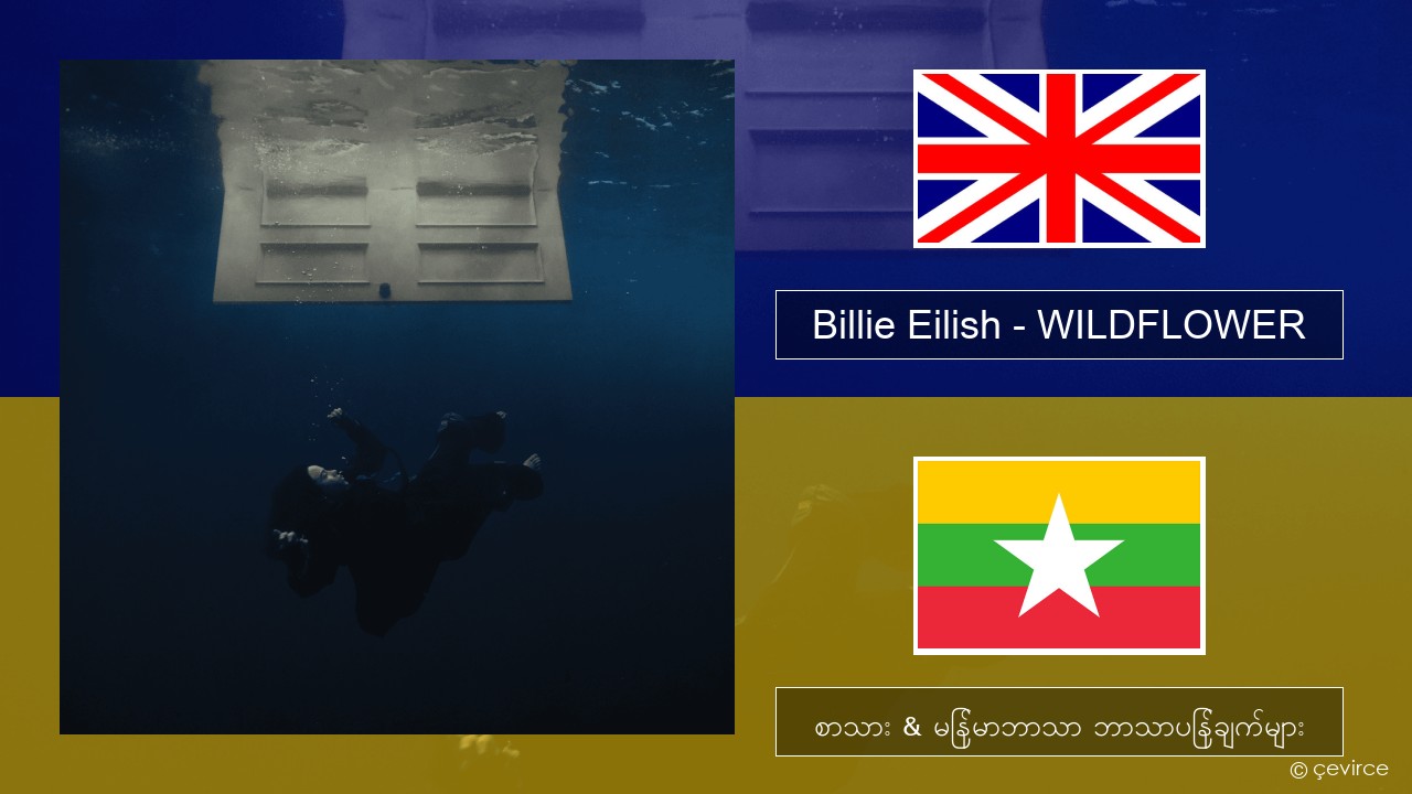 Billie Eilish – WILDFLOWER အင်္ဂလိပ် စာသား & မြန်မာဘာသာ ဘာသာပြန်ချက်များ