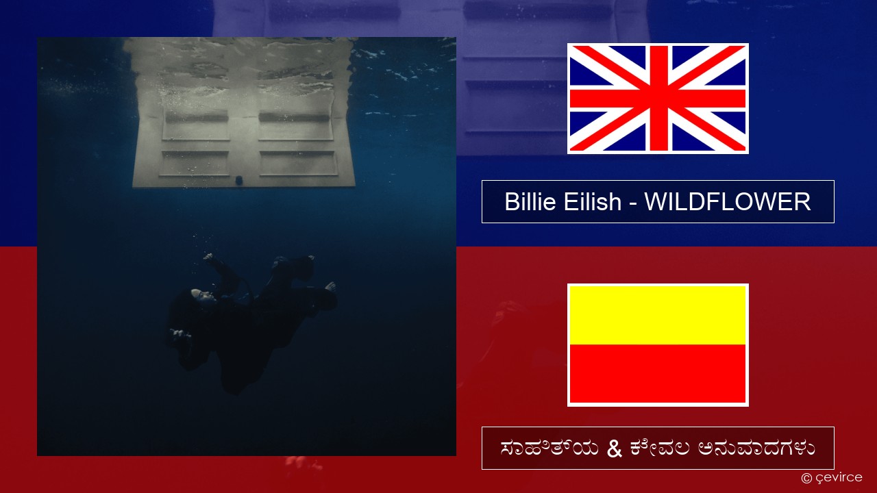 Billie Eilish – WILDFLOWER ಇಂಗ್ಲೀಷ್ ಸಾಹಿತ್ಯ & ಕೇವಲ ಅನುವಾದಗಳು