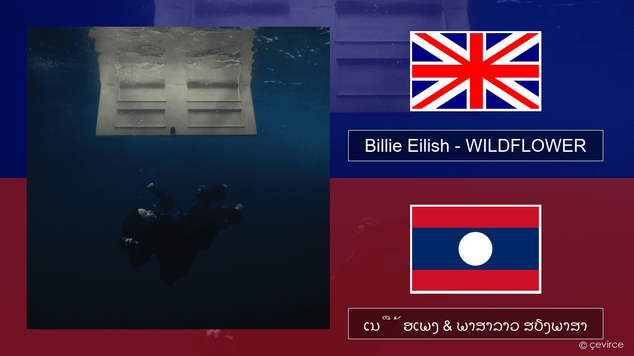 Billie Eilish – WILDFLOWER ອັງກິດ ເນື້ອເພງ & ພາສາລາວ ສຽງພາສາ