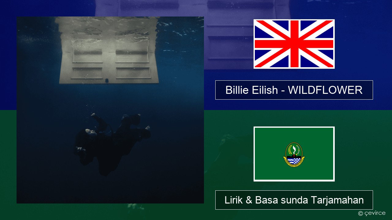 Billie Eilish – WILDFLOWER Basa inggris Lirik & Basa sunda Tarjamahan