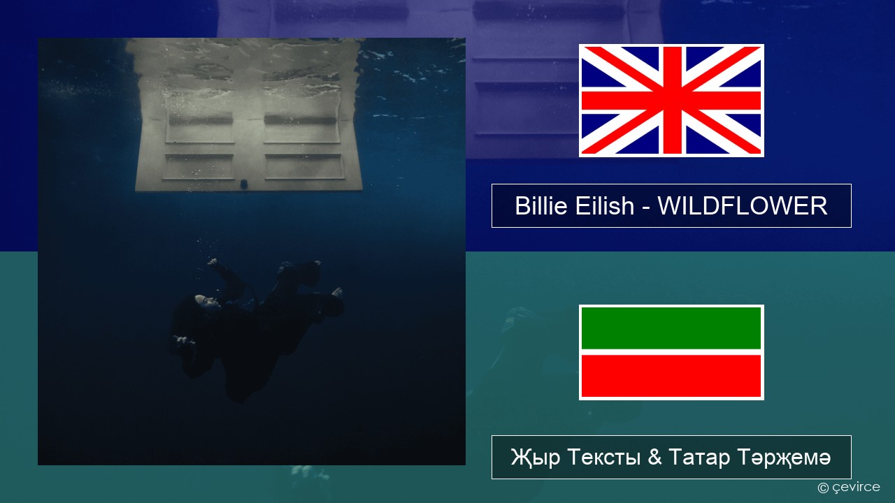 Billie Eilish – WILDFLOWER Инглизчә Җыр Тексты & Татар Тәрҗемә