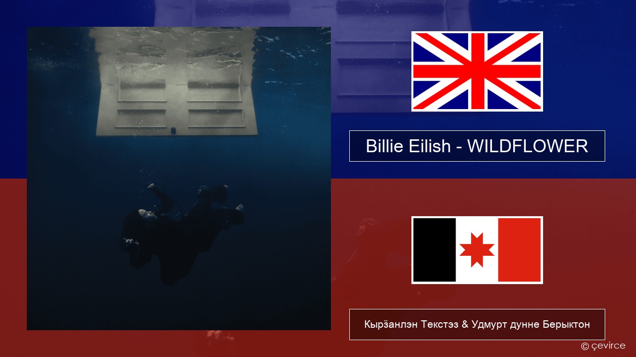 Billie Eilish – WILDFLOWER Англи Кырӟанлэн Текстэз & Удмурт дунне Берыктон