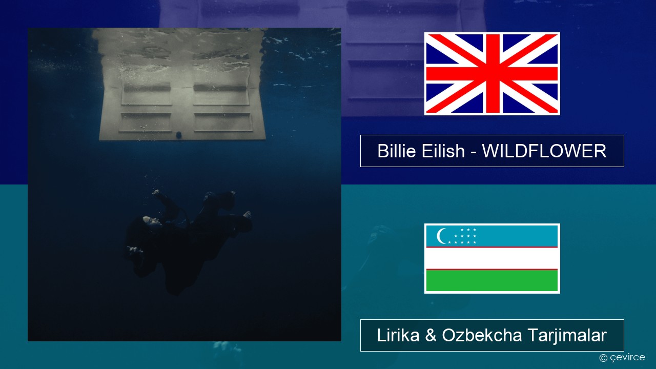 Billie Eilish – WILDFLOWER Ingliz tili Lirika & Ozbekcha Tarjimalar