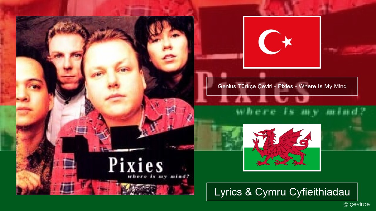 Genius Türkçe Çeviri – Pixies – Where Is My Mind (Türkçe Çeviri) Twrcaidd Lyrics & Cymru Cyfieithiadau