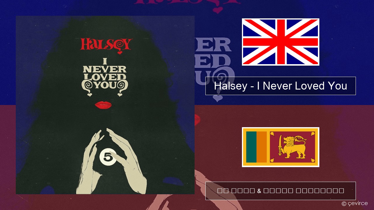 Halsey – I Never Loved You ඉංග්රීසි පද රචනය & සිංහල පරිවර්තන