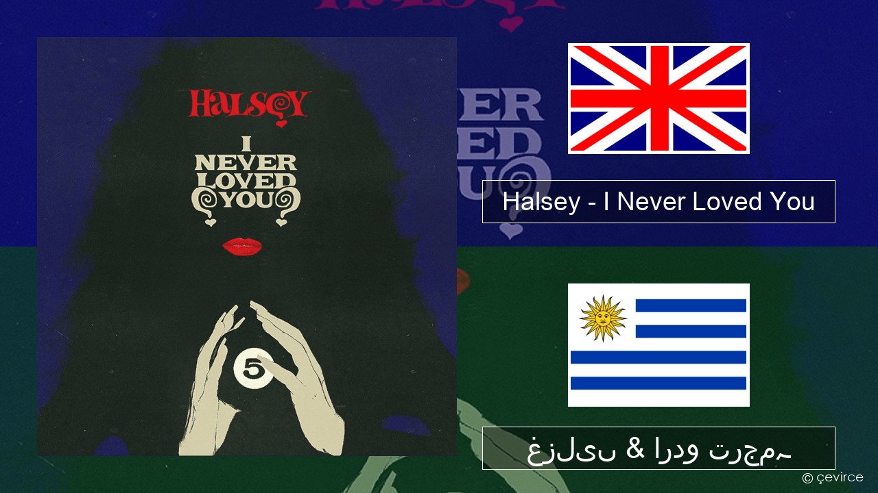 Halsey – I Never Loved You انگریزی غزلیں & اردو ترجمہ